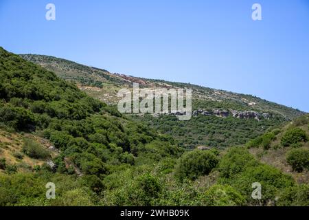 Landscape Upper Galilee, Israel Stock Photo