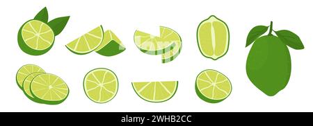 Vector flat style set of lime. Whole key lime, sliced, cutted in half and citrus wedges. Composition of fruit slices. Delicious juicy citron for Stock Vector