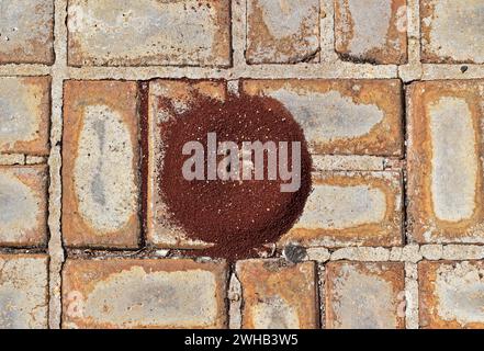 Anthill on sidewalk with concrete blocks Stock Photo