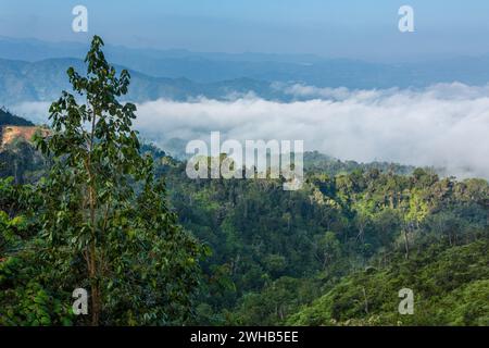 Landscape view of the mountains and forest from the Alto de la Virgende la Altagracia near Constanza in the Dominican Republic. Stock Photo