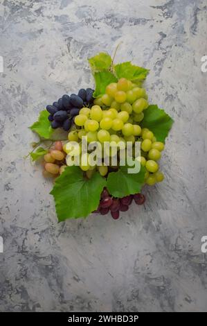 various juicy grapes on vintage concrete background. Frame made of grapes. Copy space for text or menu. grape fruits with place for text. Bunches of g Stock Photo