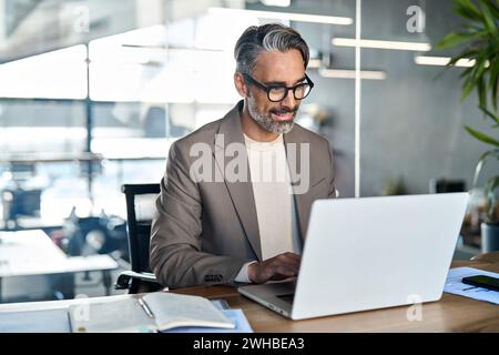 Smiling middle aged business man executive sitting at desk using laptop. Stock Photo