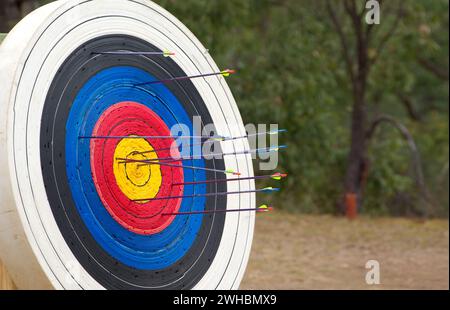 Arrows in archery target Stock Photo