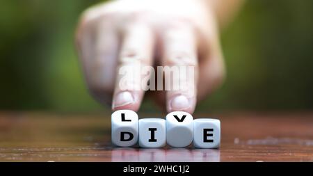 Hand turns dice and changes the word die to live. Stock Photo