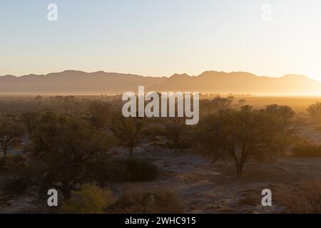 Morning in the Namib-Naukluft National Park, Namibia Stock Photo
