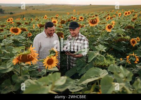 Smart farming. Two farmers using digital tablet for examine and check sunflowers in field. Agronomist team, analyse results of quality organic harvest Stock Photo