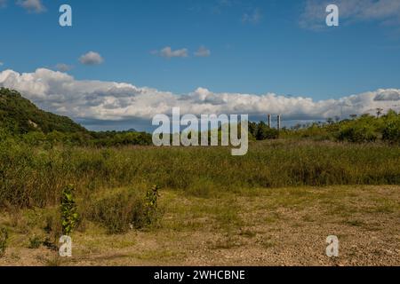 Rural landscape of lush foliage under blue sky with layer of cumulus clouds in background in South Korea Stock Photo