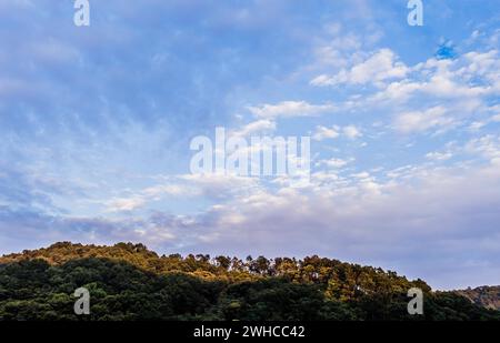 Blue sky filled with layers of white puffy clouds over a tree covered mountain top illuminated by rays of bright sunlight Stock Photo