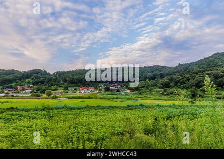 Landscape of small farming community with mountains in the background under a blue sky filled with puffy white clouds in Daejeon, South Korea Stock Photo