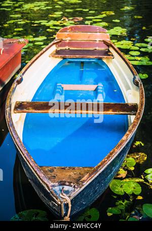 Blue colored wooden rowboat at the pier of a lake for rent surrounded by nenuphar. Municipal city park. Hamburg. Stock Photo