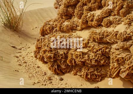 Large picturesque, natural,  desert rose formation. Tunisia, Africa Stock Photo
