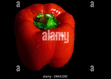 Red capsicum with drops on the surface, dark background Stock Photo