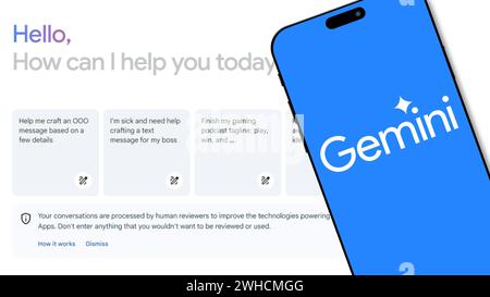 Istanbul, Turkey - 7 February 2024: Google Gemini logo on smartphone screen with website in background. Gemini is Google's AI model family, developed Stock Photo