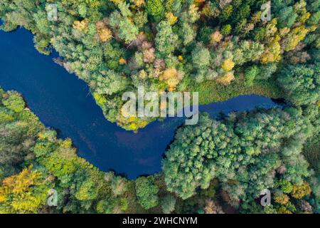 Mixed forest in autumn, colouring, aerial view, forest, autumnal, Ahlhorn fish ponds, Niedersaechsische Landesforst, Ahlhorn, Lower Saxony, Germany Stock Photo