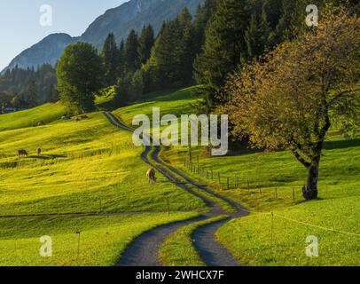 Hiking path in the alps of tyrol (Austria) Stock Photo