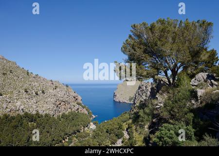 Bay of Sa Calobra, Cala de Sa Calobra, Serra de Tramuntana, Mallorca, Balearic Islands, Spainn Stock Photo