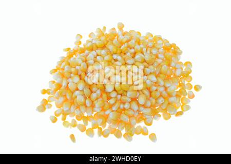 Corn (Zea mays), corn kernels Stock Photo