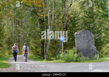 Hiking trail and boulder with inscription Berchtesgaden National Park, Klausbachtal, Bavaria, Germany Stock Photo