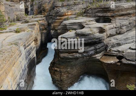 Mistaya River in Mistaya Canyon, Icefields Parkway, Banff National Park, Alberta, Canada Stock Photo