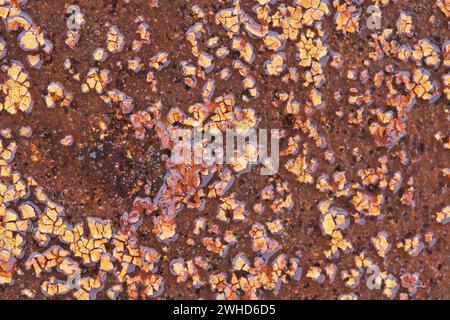 Background of old rusty painted metal Stock Photo