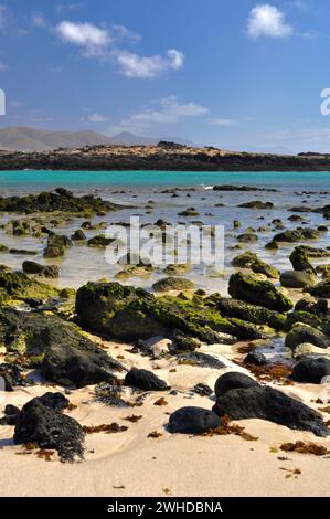 Dark stones on the yellow sand with an island in the background with the turquoise sea water in the middle. Playa de la Concha, El Cotillo Stock Photo