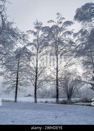 Foggy winter landscape near Schlehdorf am Kochelsee, Bavaria, Germany Stock Photo