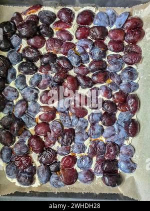 Halved plums lie on curd-oil dough in preparation for baking a plum cake Stock Photo