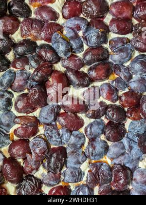 Halved plums are placed on quark-oil dough to make a plum cake Stock Photo