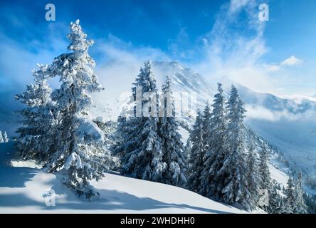 Snow-covered mountain landscape on a cold, sunny winter's day. View of Gaishorn and Rauhorn near Hinterstein. Allgäu Alps, Bavaria, Germany Stock Photo