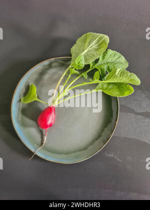 A red radish with greens and leaves freshly harvested on the plate Stock Photo