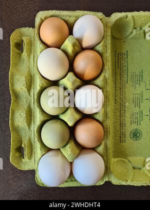 Fresh organic eggs in egg carton, country eggs in green, brown and white Stock Photo