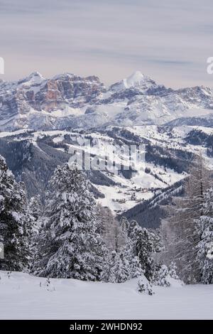 Tofane Di Rozes From Gardena Pass, South Tyrol, Alto Adige, Italy Stock 