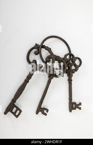 Three old decorative keys on a key ring, vintage, white background, Stock Photo