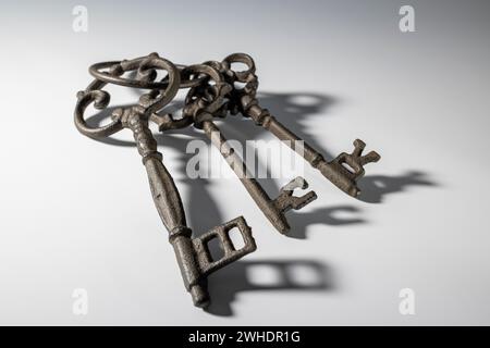 Three old decorative keys on a key ring, vintage, white background, Stock Photo