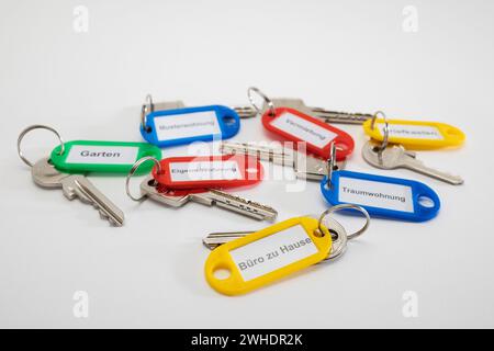 Various keys with key fob, different colors, labeled, dimple key, white background, Stock Photo