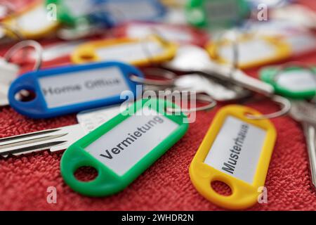 Different keys with key ring, different colors, labeled, detail, dimple key, blur, red background, Stock Photo