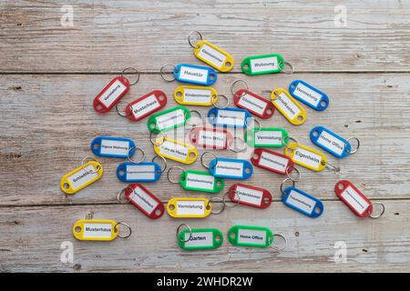 Many plastic key rings with ring, different colors, colorful, different inscriptions, wooden background, Stock Photo