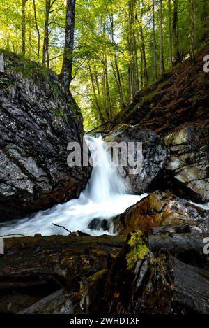 Waterfall between mossy rocks in the spring-like mixed forest between beech and birch trees in the Hölltobel near Oberstdorf. Long exposure Stock Photo