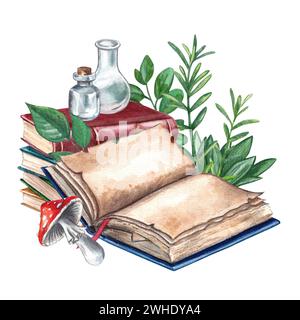 Alchemical book. Watercolor hand drawn illustration. Composition with a book for spells, plants and mushrooms. Clipart on a white background on the th Stock Photo