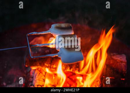 Enjoying Toasted Marshmallows Over a Campfire, Evening in Copenhagen Stock Photo
