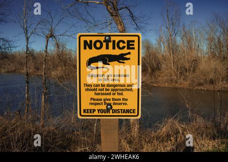 This is part of the largest swamp in swamp in the United States. This part of it is called Oxbow Lake. The sign warns about alligators in the area, be Stock Photo