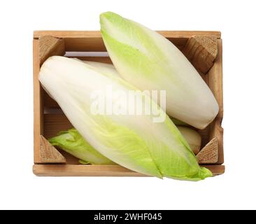 Raw chicories in wooden crate on white background, top view Stock Photo