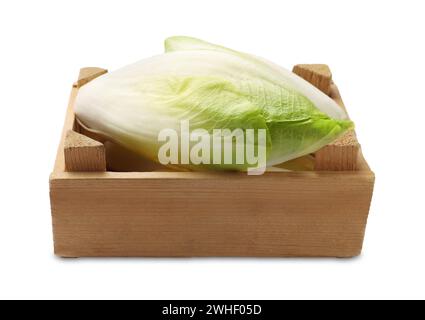 Raw ripe chicory in wooden crate on white background Stock Photo