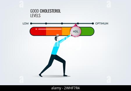 Good cholesterol levels gauge with arrow indicator for healthcare and heart health analysis, a man pushing bar to optimum position, dietary lifestyle Stock Vector