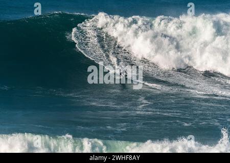 Aaron Gold (HAW) Stock Photo