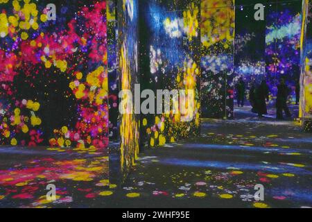 Tokyo, Japan. 1st Feb, 2024. Visitors attend a preview of TeamLab Borderless: Mori Building Digital Art Museum in Tokyo, Japan, Feb. 1, 2024. A museum showcasing the works of the Japanese digital art collective teamLab opened on Feb. 9, 2024 in Tokyo's new landmark Azabudai Hills complex. TeamLab Borderless: Mori Building Digital Art Museum, located in Japan's newly-opened Azabudai Hills, houses around 50 works that make full use of projectors and various lights, featuring a 'world of artworks without boundaries.' Credit: Qian Zheng/Xinhua/Alamy Live News Stock Photo