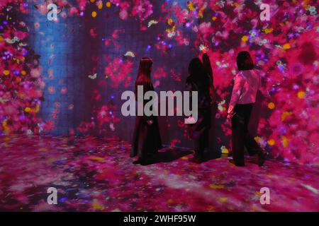 Tokyo, Japan. 1st Feb, 2024. Visitors attend a preview of TeamLab ...