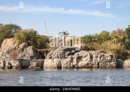 beautiful natural landscape on the river nile with palm trees and bushes Stock Photo