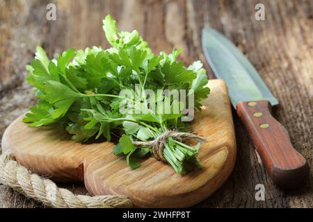 Fresh organic parsley with knife on wooden cutting board. Macro with shallow dof Stock Photo