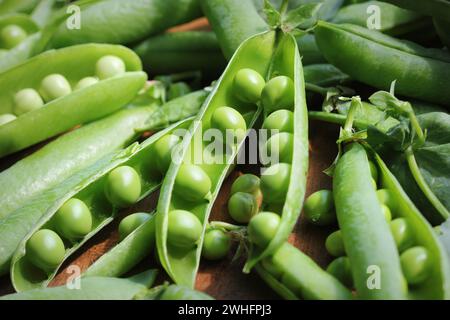 Ripe pods of green peas, fresh green peas on wooden table, close up Stock Photo